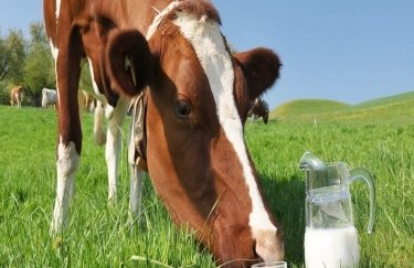 Производители молока просят 1,65 млрд грн дотаций