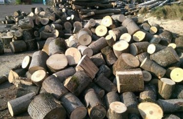 Уряд України заборонив експорт паливної деревини
