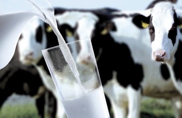 Переработчикам молока в Украине не хватает сырья