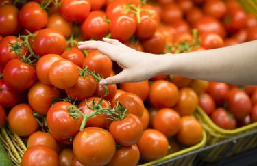 В Україні відчутно знизились ціни на тепличні помідори