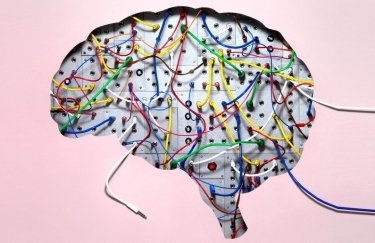 Перепрограммировать мозг: 5 шагов к изменению мышления
