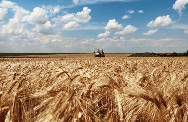 Ціни на пшеницю в Україні встановлюють нові рекорди