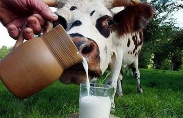 Селяни вирізають худобу та скорочують виробництво молока