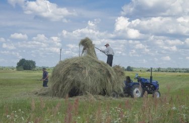 ООН выделит на помощь украинским фермерам $50 млн