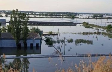 Єдиний державний осетровий завод в Україні повністю затоплено (ФОТО)