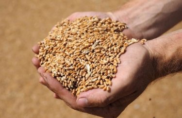 В Украине подскочил индекс цен на зерно