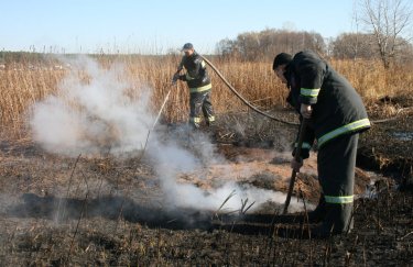 Во Львовской области горят торфяники