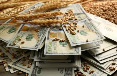 Деньги на вырост: на какие программы кредитования могут рассчитывать аграрии