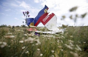 Обломки боинга MH17. Фото: "Главком"