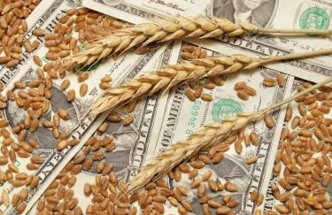 Экспорт зерна через Швейцарию, ОАЭ, Кипр и Британию позволяет выводить прибыль