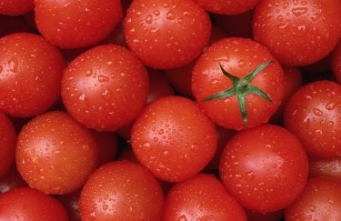 В Украине дорожает томат