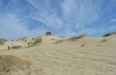 Национальный природный парк Алешковские пески. Фото: пресс-служба НПП