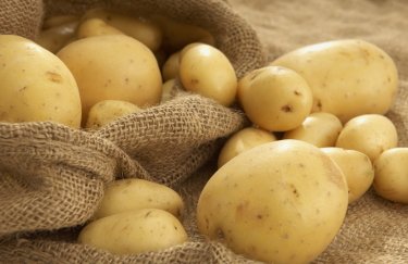 С начала года Украина экспортировала картофеля почти на $3 млн