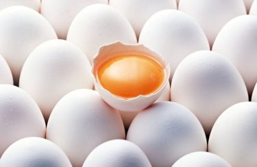 АМКУ не обнаружил ценовой сговор на рынке яиц
