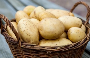 Экспорт картошки из Украины вырос в 3,5 раза