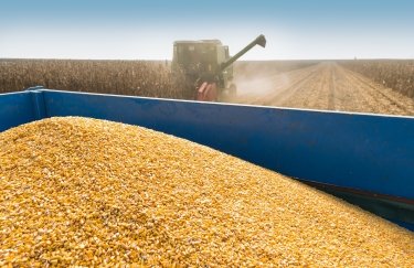 Уряд скасував ліцензії на експорт кукурудзи та олії