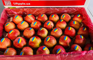 Всупереч війні: Україна продовжує відкривати нові ринки збуту яблука в Африці