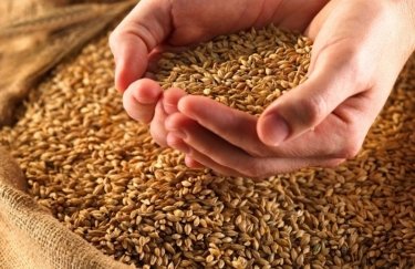 тонны зерна, украинское зерно, Одесская область