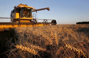 Украина сократила экспорт пшеницы и кукурузы