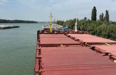 Українське Дунайське пароплавство поставило більшість флоту у відстій: у чому причина