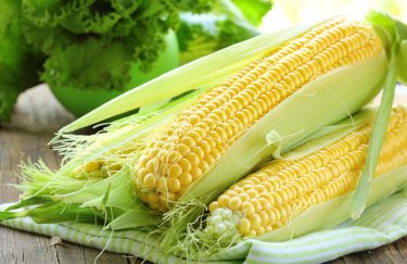 Украина будет экспортировать кукурузу в Индию