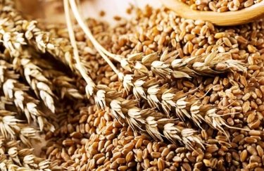Украинские сельхозпроизводители намолотили 28 млн тонн зерна