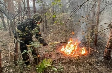 Спасатели ликвидировали пожар в хвойном лесу, вызванный вражескими обстрелами. Фото: ГУ ГСЧС в Харьковской области