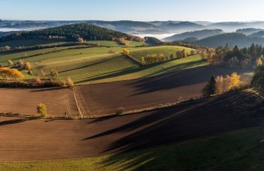 Перші земельні аукціони в Запорізькій, Івано-Франківській та Кіровоградській областях залучили 23,3 млн грн