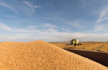 Помощь производителям и бедным странам: Украина запускает продовольственную гуманитарную программу "Grain from Ukraine"