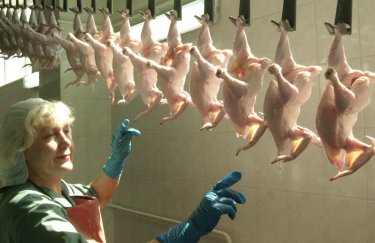ЕБРР выделит 20 млн евро крупнейшему в Украине производителю курятины