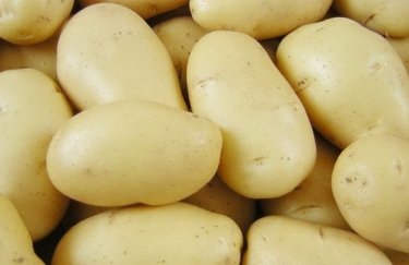 Эксперт рассказал, почему украинский картофель "проигрывает" на внешних рынках