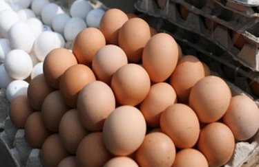 Украина стала основным поставщиком яиц в Европу