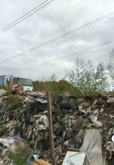 Украина не перерабатывает 95% отходов. Производителей хотят обязать утилизировать мусор