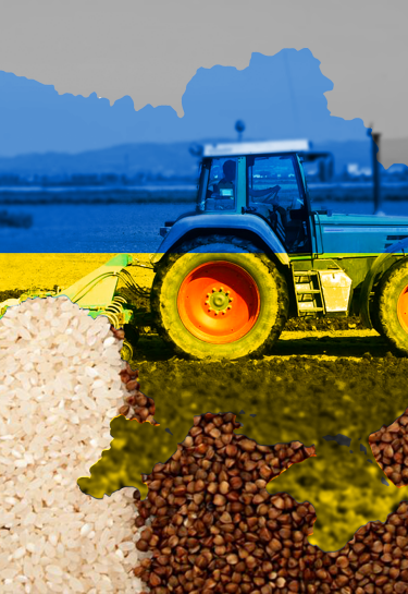 В Україні розпочалася посівна. Ось три головні проблеми, з якими зіткнеться український агроекспорт