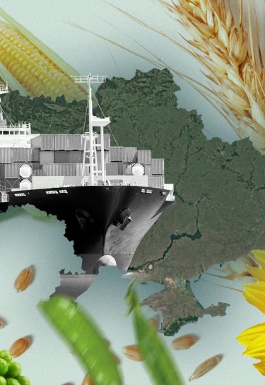 "Зернова угода" під загрозою: чому її продовження потрібне не тільки Україні, а і всьому світу