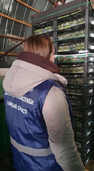 Фото 3 — В Киевской области изъяли партию турецких кабачков с нитратами, едва не попавшими на прилавки магазинов