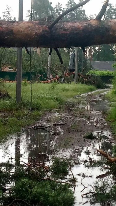 Фото 3 — Под Киевом ураган повалил деревья и оставил людей без света (ФОТО, ВИДЕО)