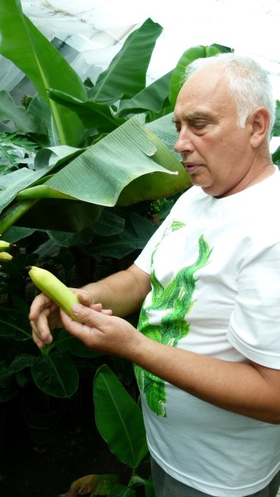 Фото 10 — Бананы-кокосы по-украински и история о том, как воплощать мечты