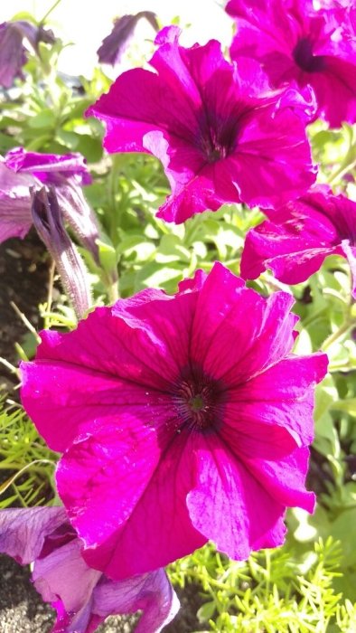 Фото 8 — Обзор HTC One M9: вендор наконец ушел от ультрапикселей