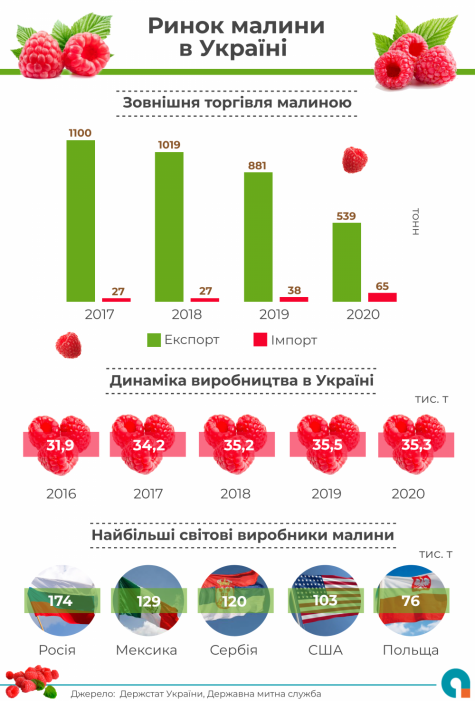 Фото 2 — Украина входит в ТОП-10 мировых производителей малины