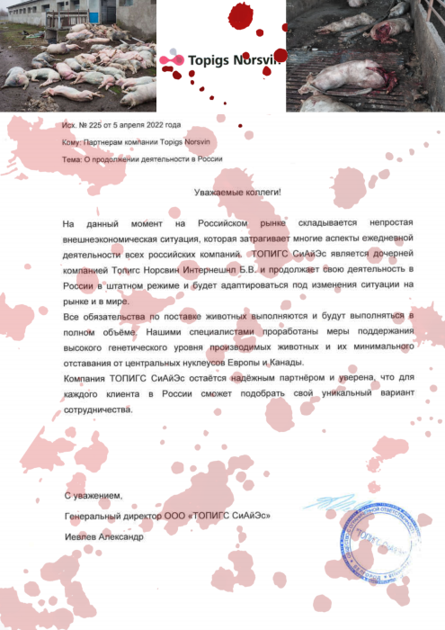 Фото 2 — Европейский свиноводческий холдинг не собирается уходить с российского рынка