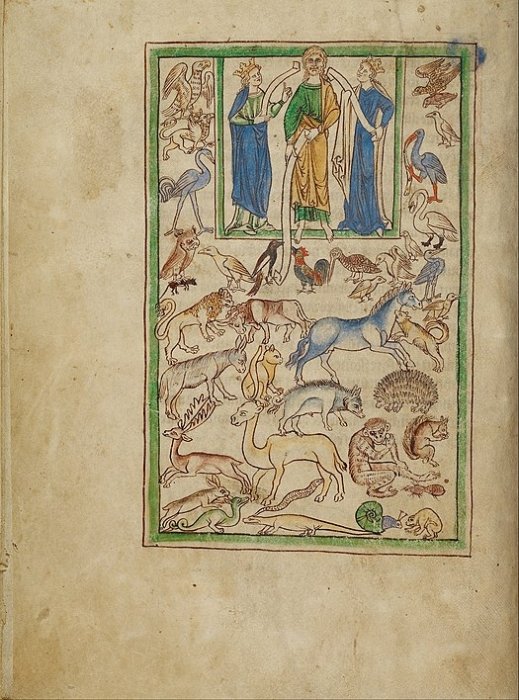 Фото 8 — Топ-10 найдорожчих книг світу: кому вони належать