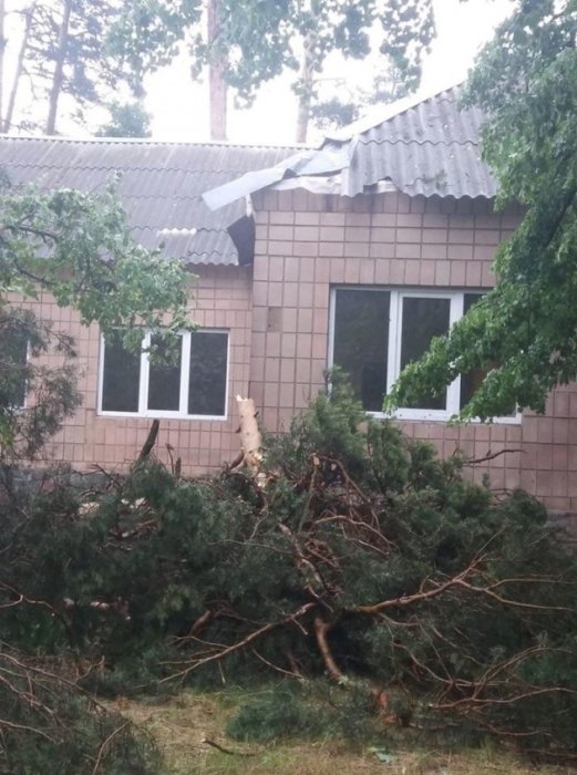 Фото 7 — Под Киевом ураган повалил деревья и оставил людей без света (ФОТО, ВИДЕО)