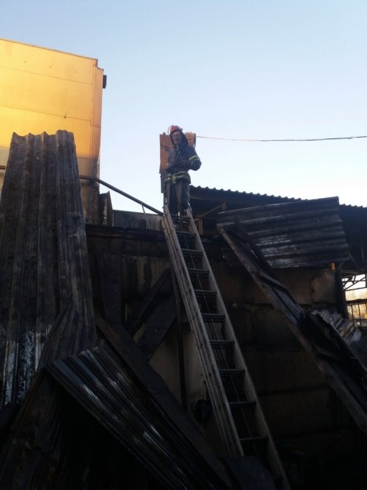 Фото 4 — В Броварах сгорела мебельная фабрика (ФОТО)