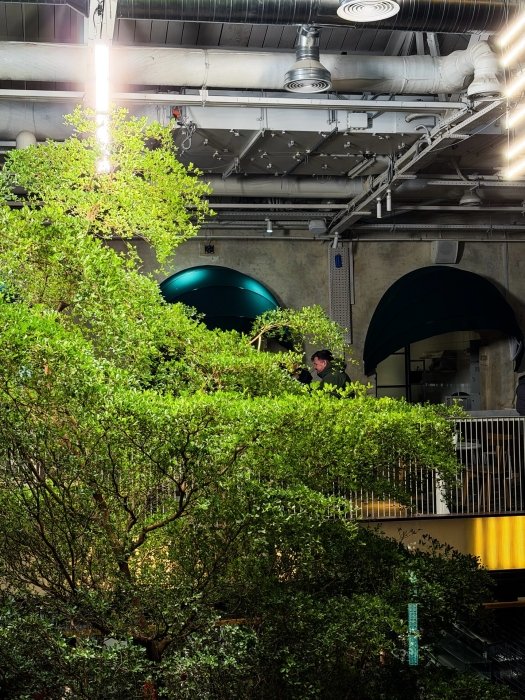 Фото 4 — Kyiv Food Market объявил дату открытия после масштабного ремонта