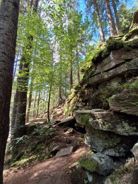 Фото 4 — У готелях та ресторанах Прикарпаття — нестача офіціантів та кухарів. Що чекає Буковель та інші курорти в цей сезон