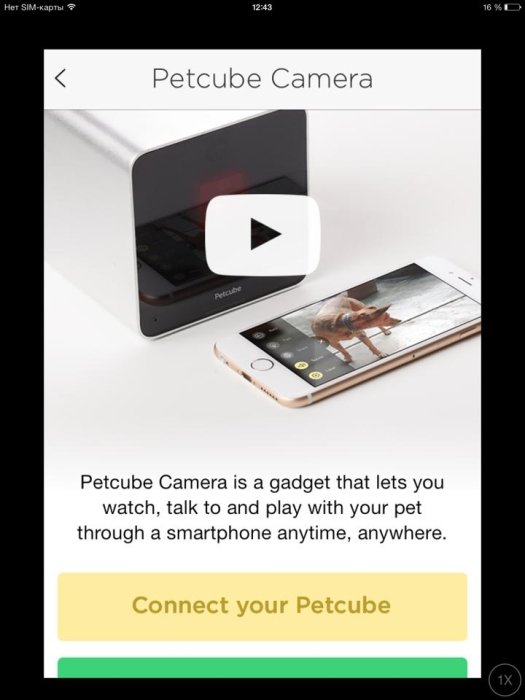 Фото 4 — Обзор Petcube: игрушка не для животных, а для людей