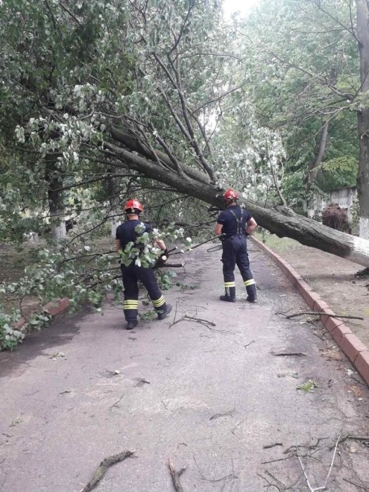 Фото 3 — Непогода в Украине: два человека пострадали, 393 населенных пункта обесточены (ФОТО)