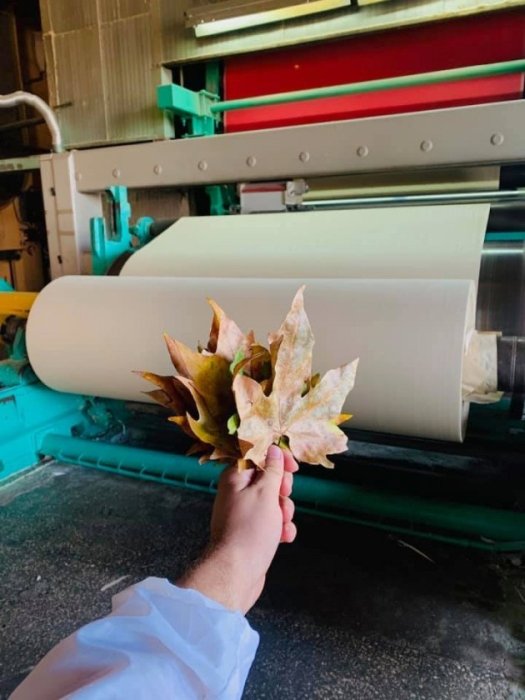 Фото 5 — Бумага из опавших листьев. Как украинцы превращают школьные идеи в успешные стартапы