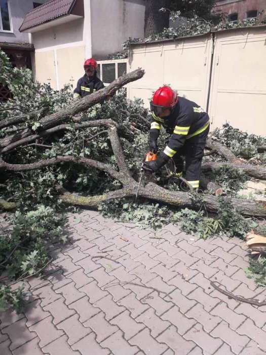 Фото 4 — Непогода в Украине: два человека пострадали, 393 населенных пункта обесточены (ФОТО)